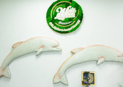 галерия снимка